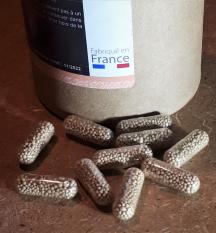 La levure de bière revivifiable La levure de bière revivifiable